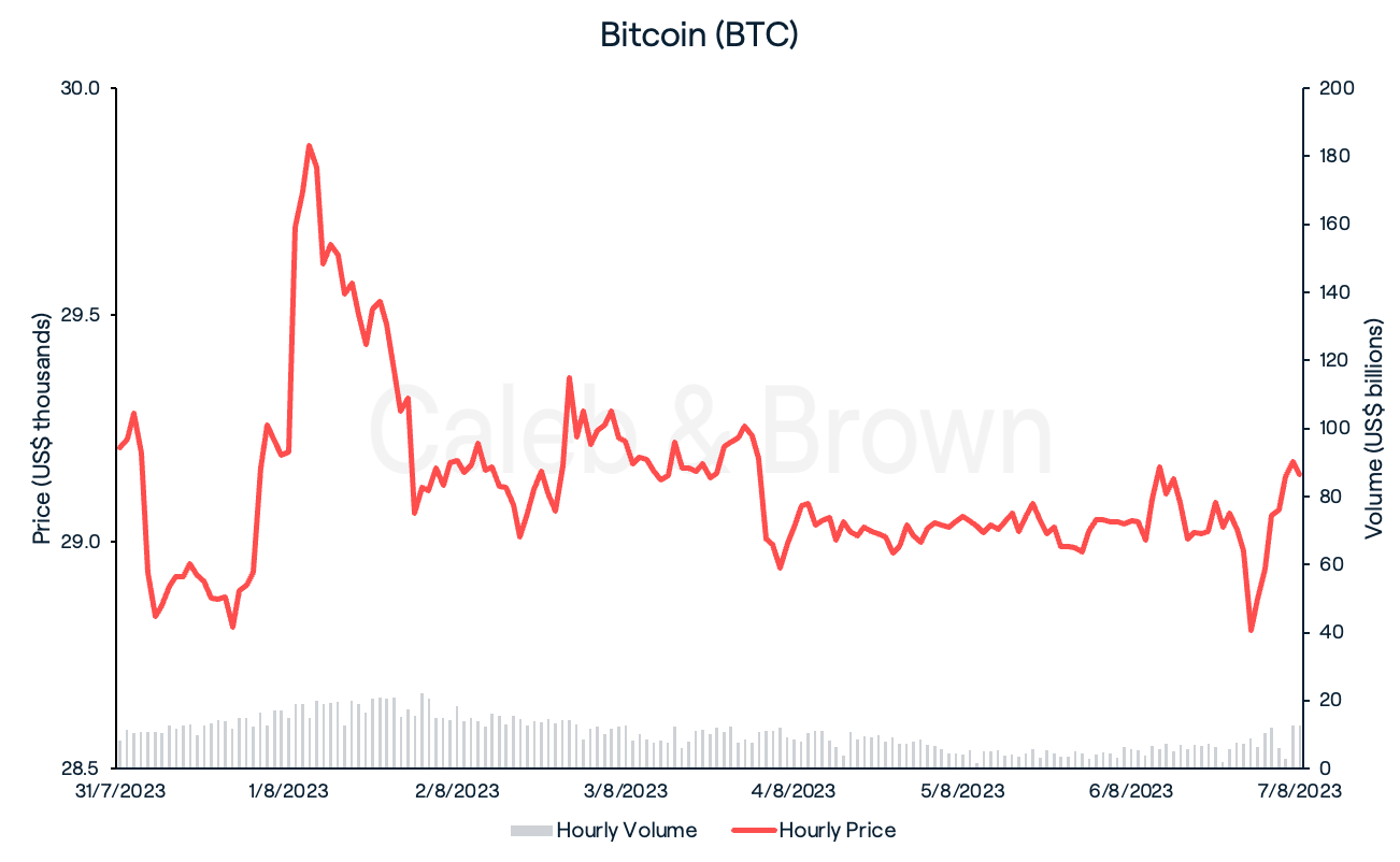 Bitcoin August 8