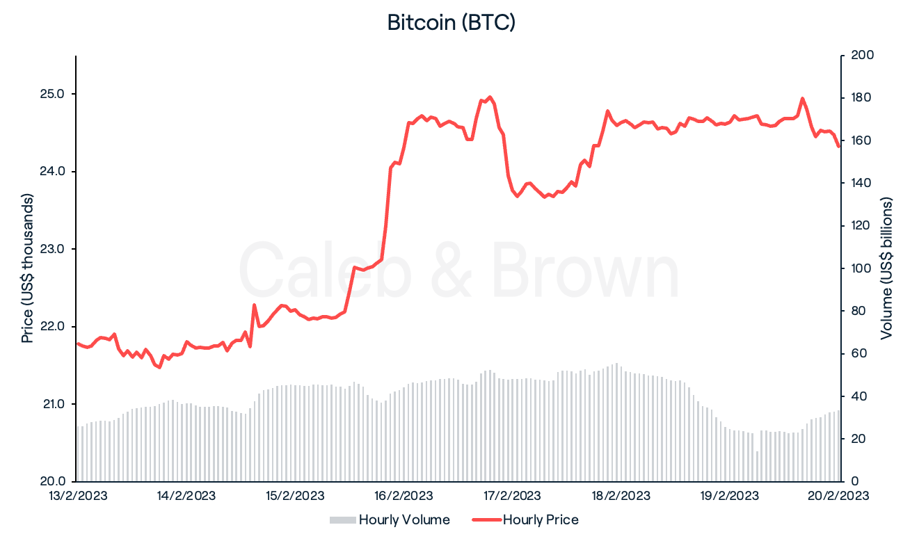 BTC Feb 20