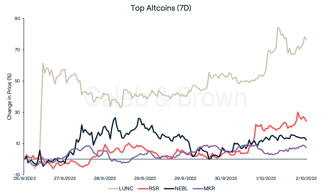 Top Altcoins