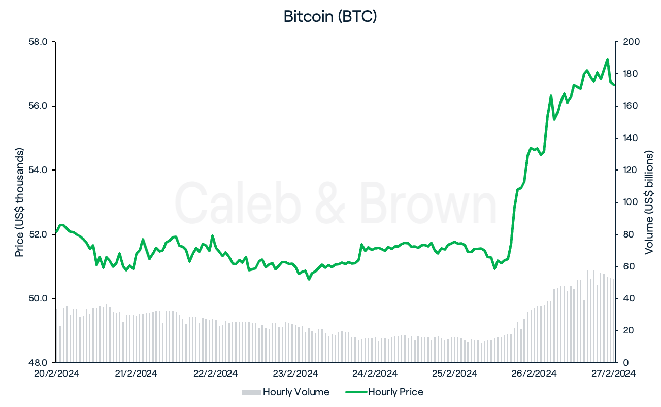 Bitcoin 28 February