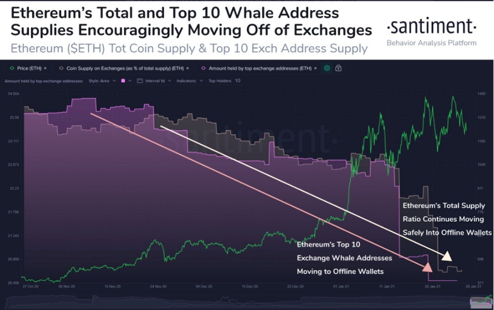 Top 100 Whale Address Supplies