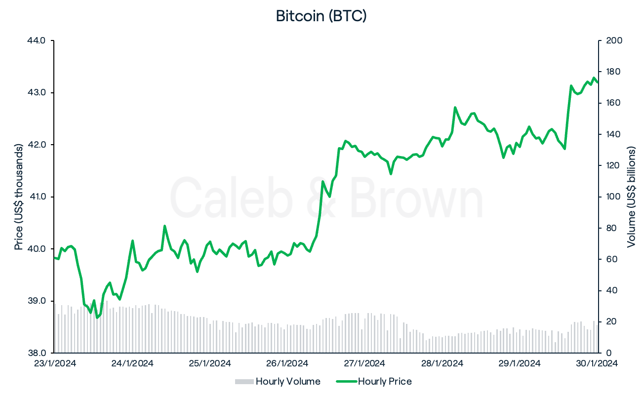 Bitcoin 30 January