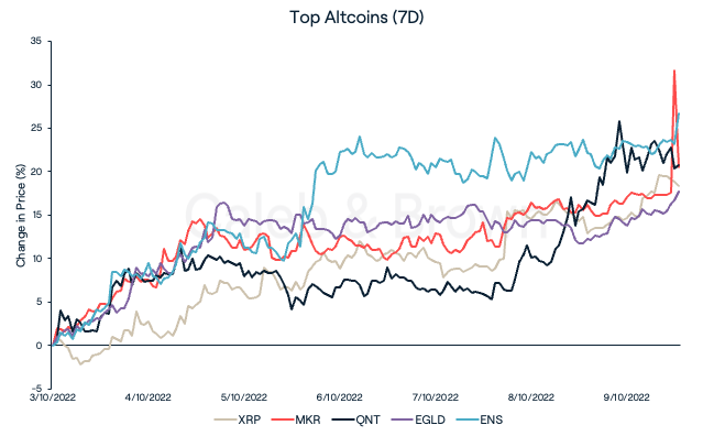 Top Altcoins