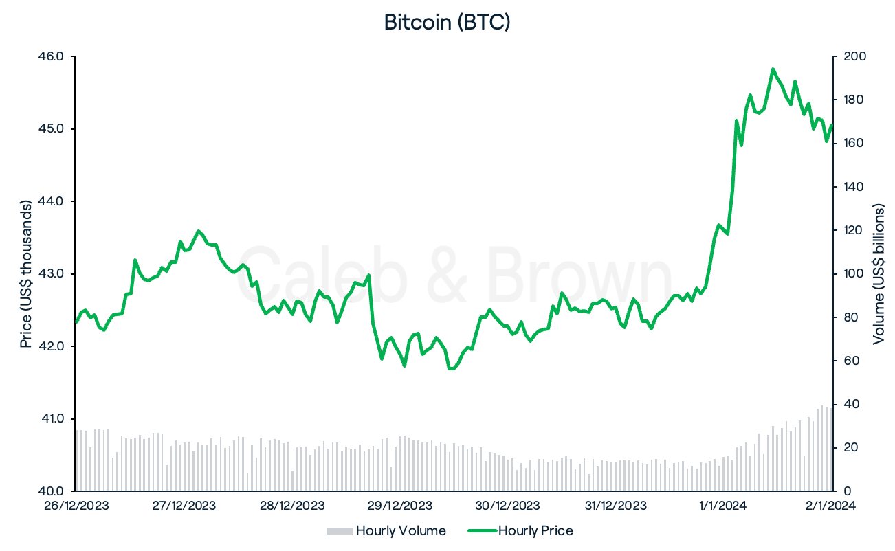 Bitcoin January 3