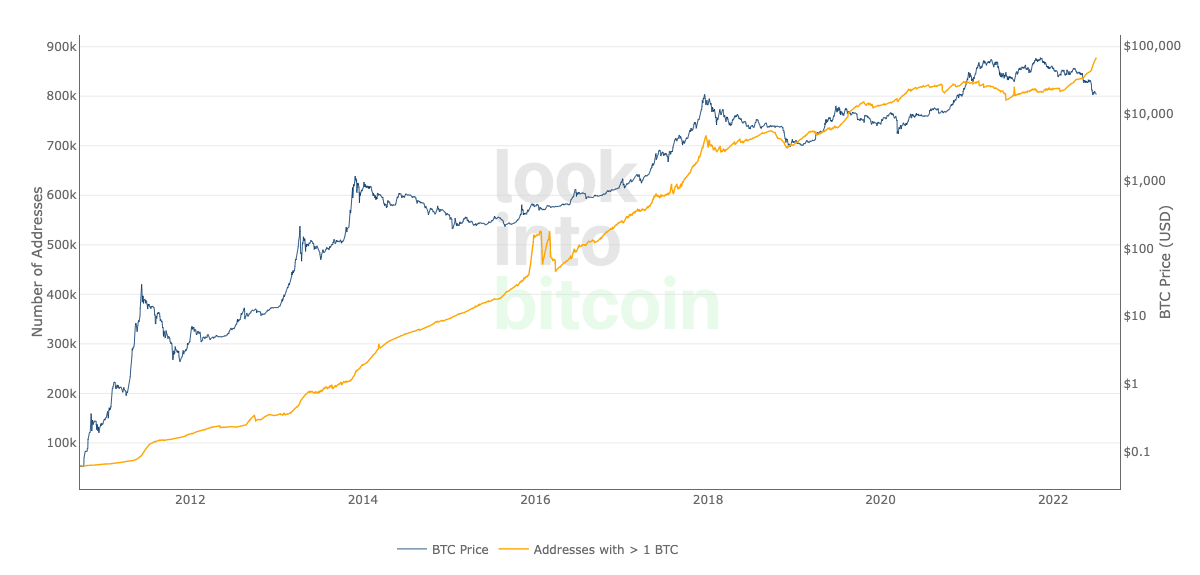 Addresses holding at least one BTC