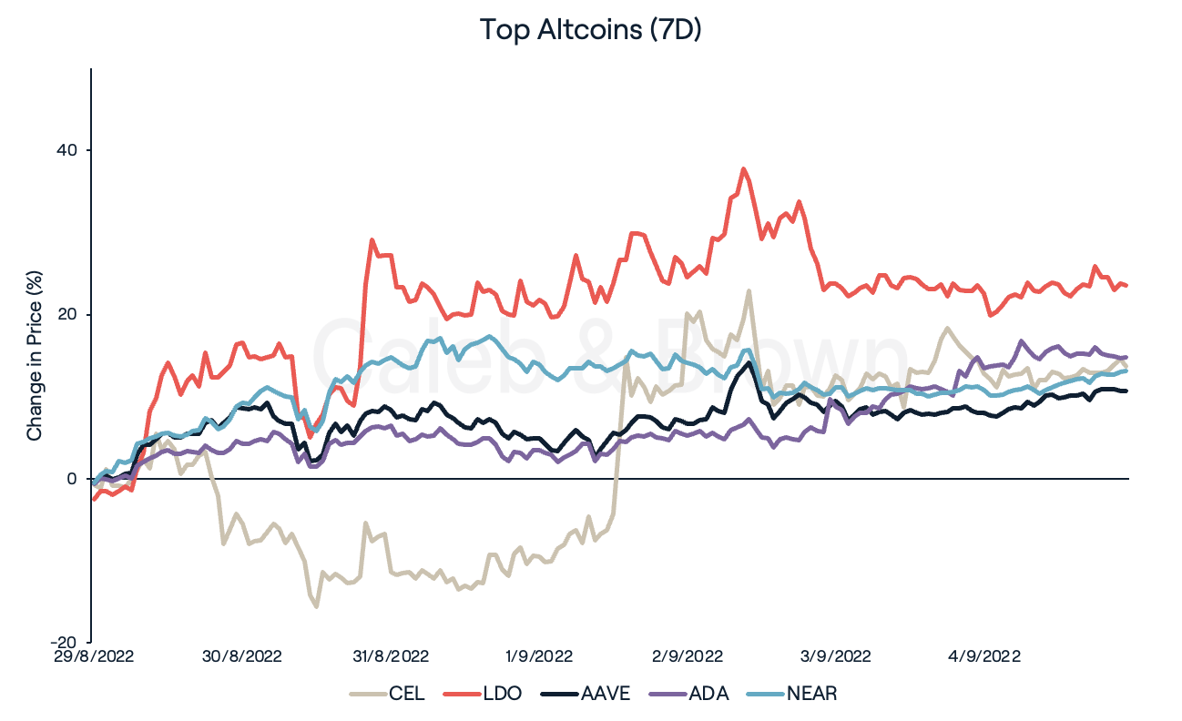 Top Altcoins